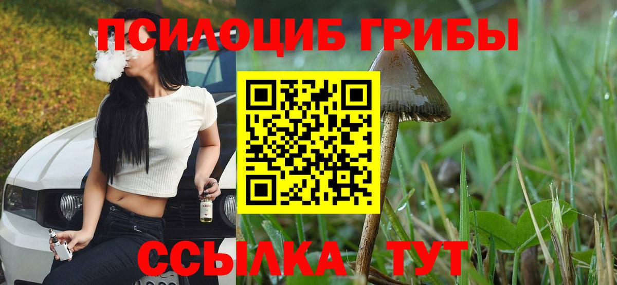 продажа наркотиков  Вход с VPN  Галлюциногенные грибы Psilocybe  Горячий Ключ  Псилоцибиновые грибы ЛСД 